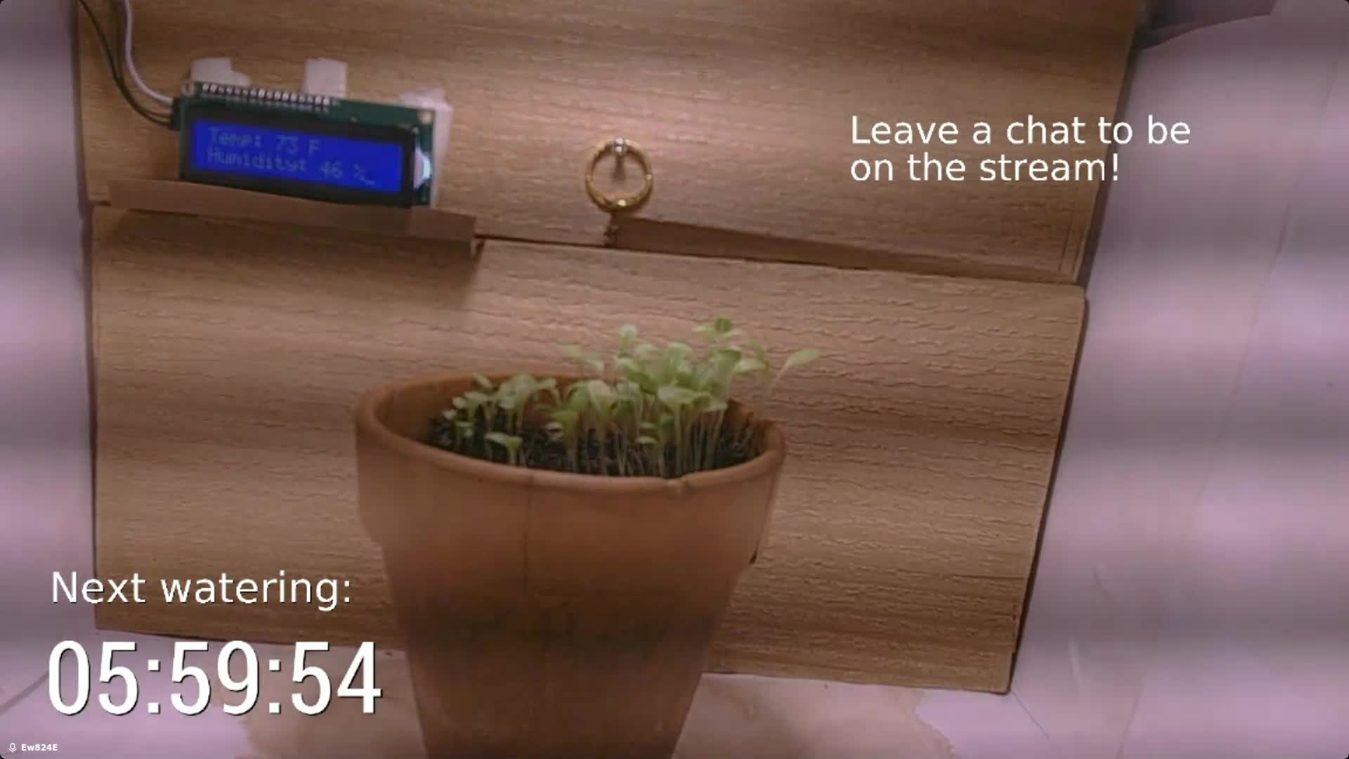 Day 9 screenshot of plant growth