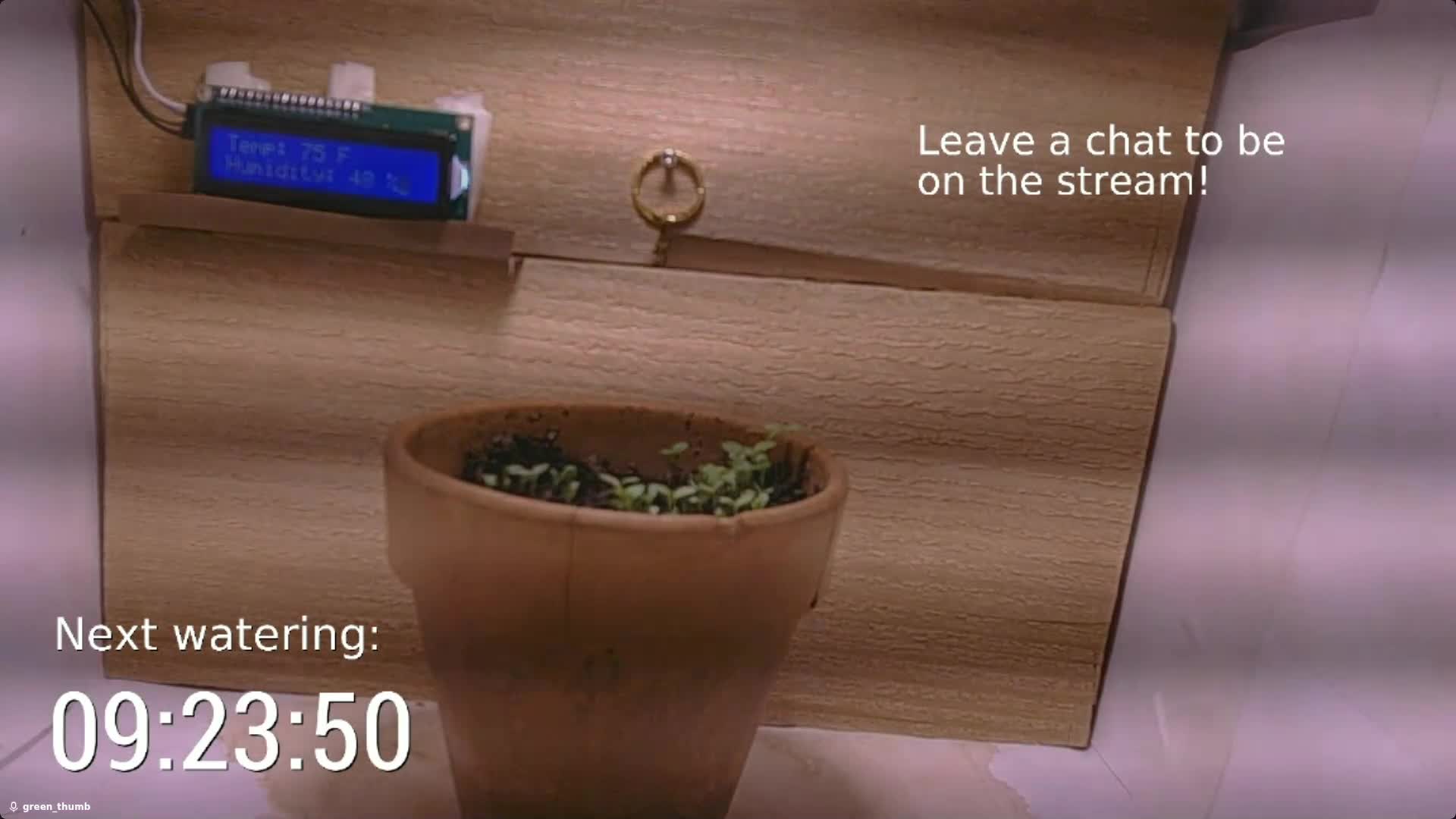 Day 5 screenshot of plant growth