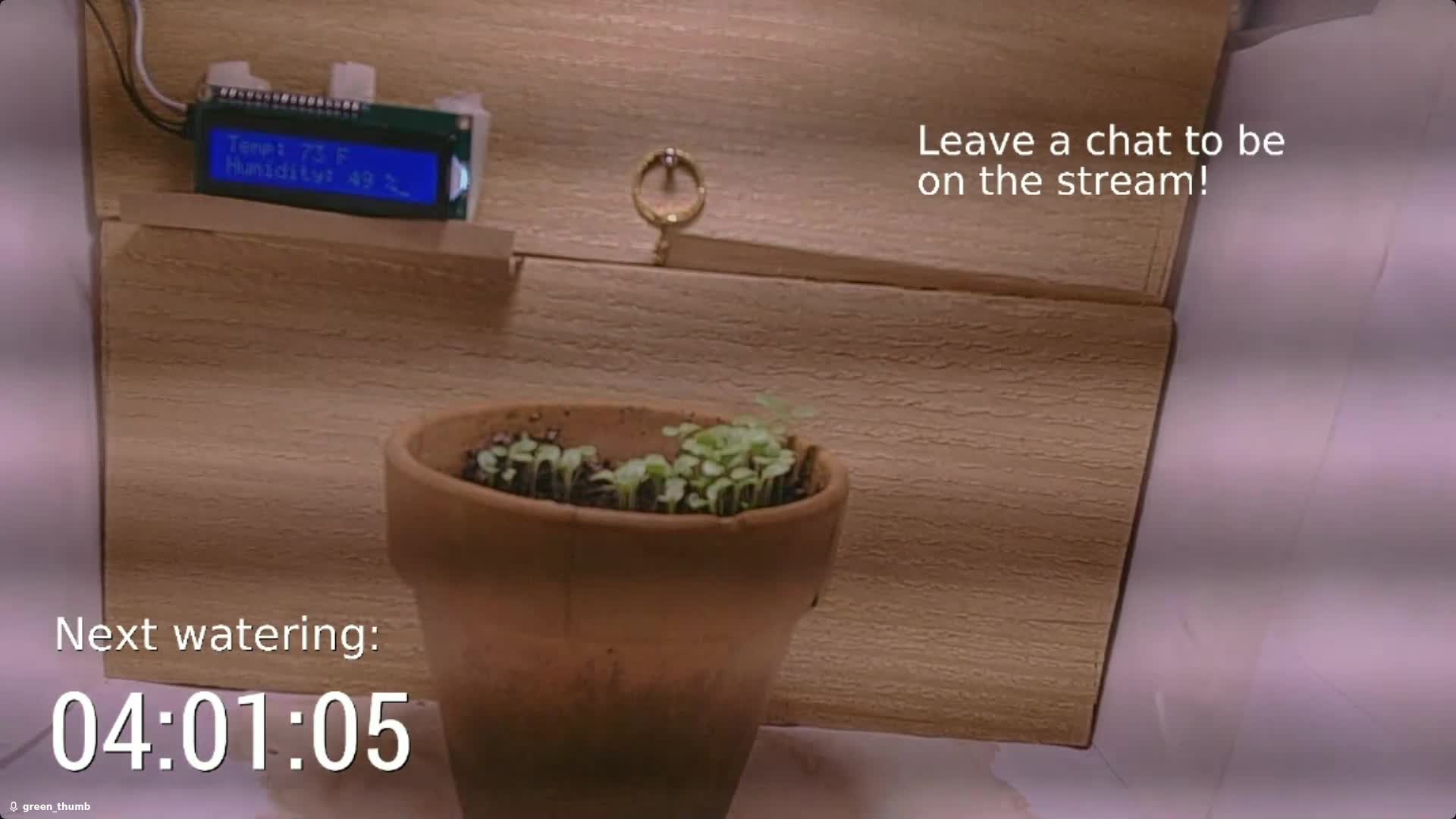 Day 6 screenshot of plant growth