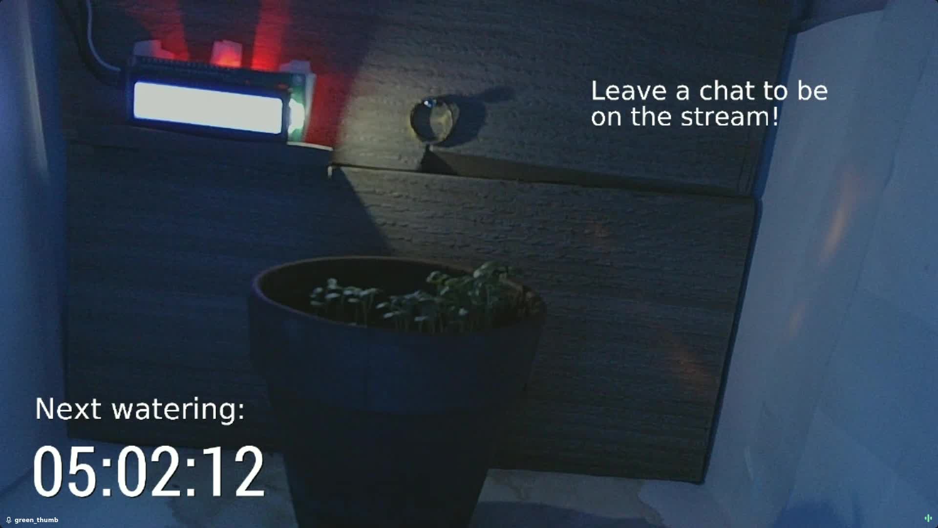 Day 7 screenshot of plant growth