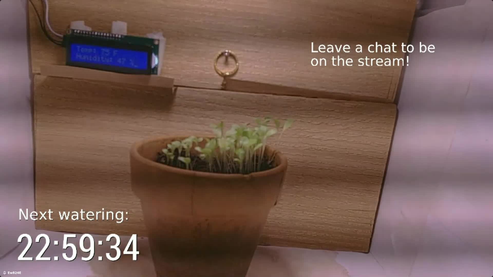 Day 8 screenshot of plant growth